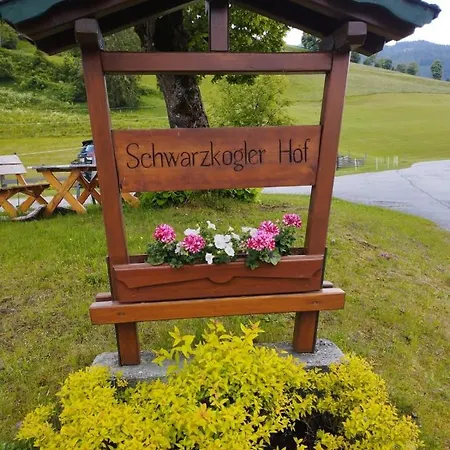 Schwarzkoglerhof * Haus im Ennstal