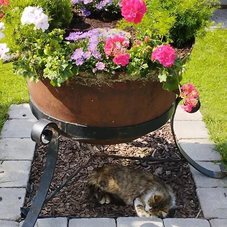 Schwarzkoglerhof Haus im Ennstal
