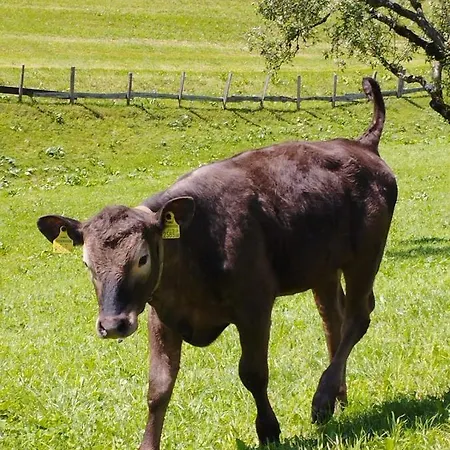 Schwarzkoglerhof