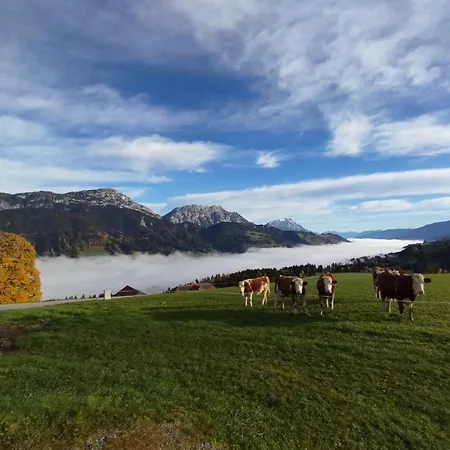 Apartmán Schwarzkoglerhof Haus im Ennstal