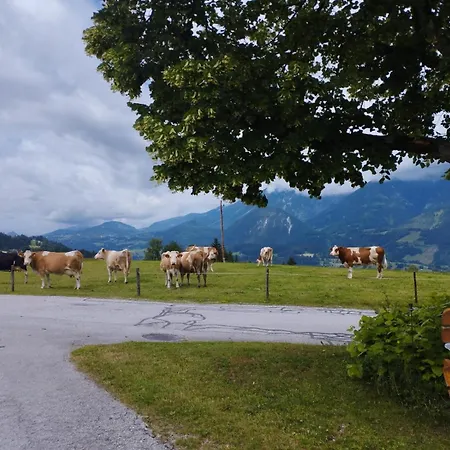 Apartmán Schwarzkoglerhof *