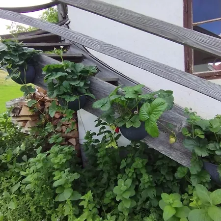 Schwarzkoglerhof Haus im Ennstal