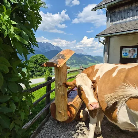 Schwarzkoglerhof Haus im Ennstal