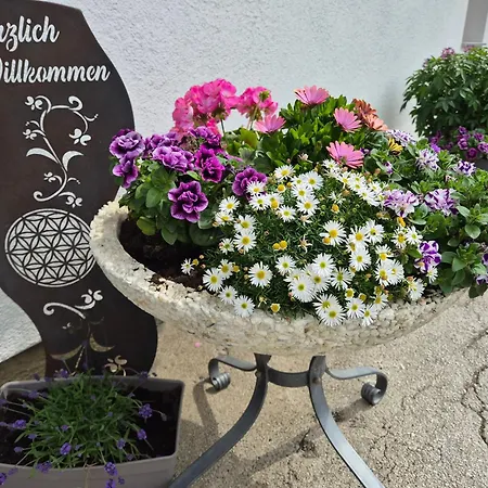 Schwarzkoglerhof Lejlighed
