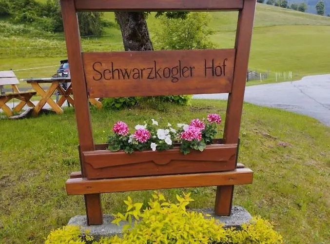 Schwarzkoglerhof * Haus im Ennstal