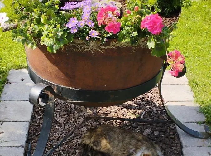 Schwarzkoglerhof Haus im Ennstal