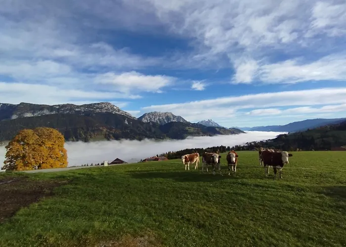 Apartman Schwarzkoglerhof Haus im Ennstal