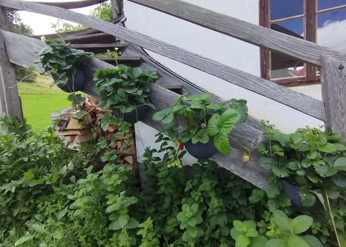 Schwarzkoglerhof Haus im Ennstal